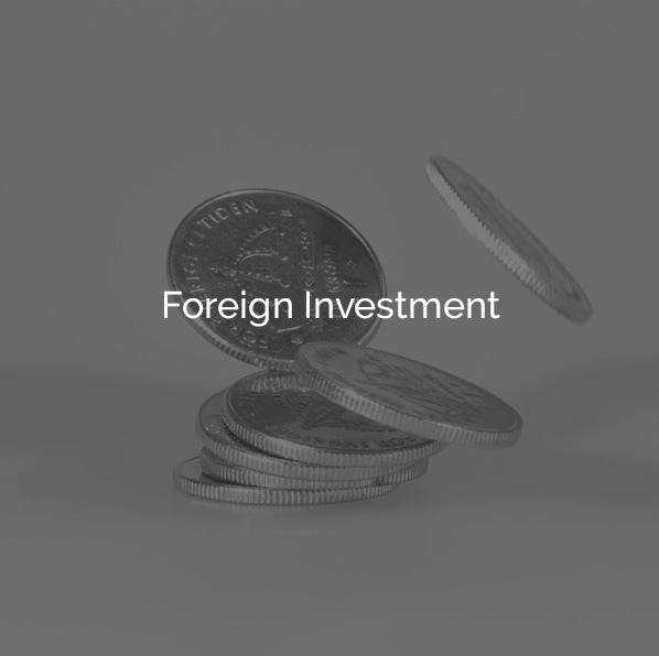 Foreign Investment
