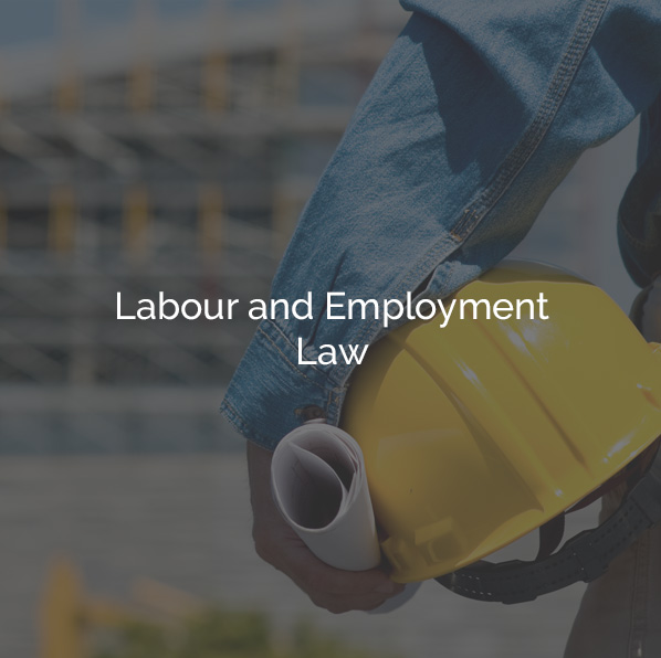 Labour and Employment Law